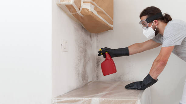 Professional Mold Removal technician working in Holtsville, NY